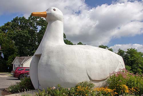 The Big Duck located in Long Island