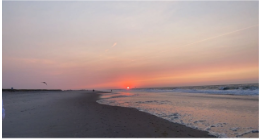 Robert Moses Beach