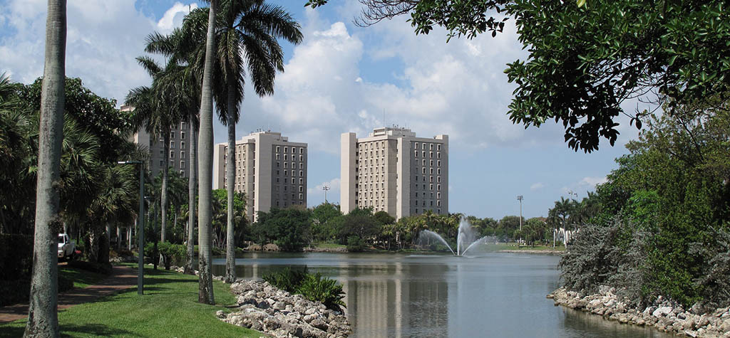 5 Reasons to Love the University of Miami