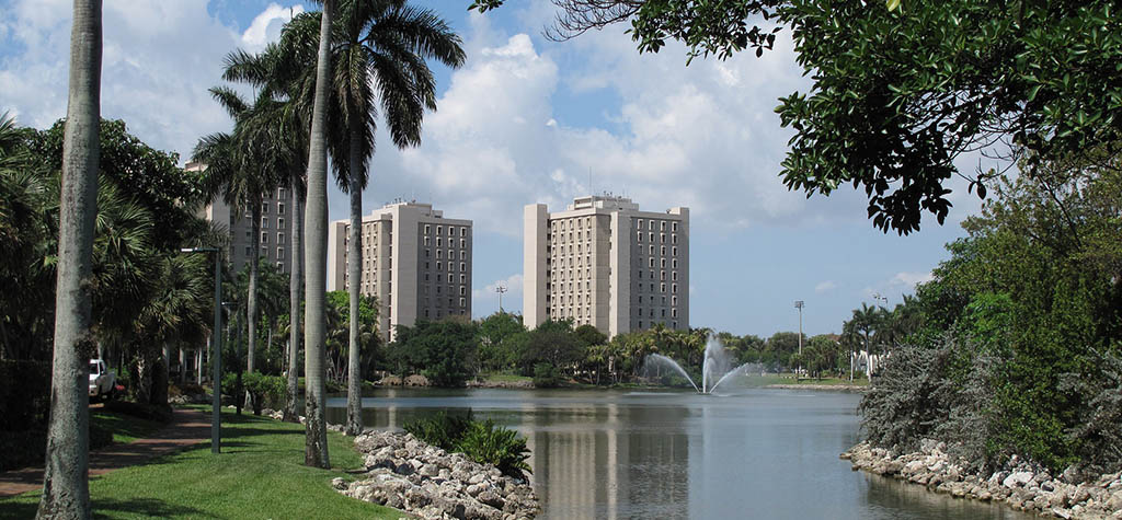 University of MIami