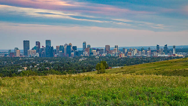 Cityscape view of Calgary from Nose Hill Park