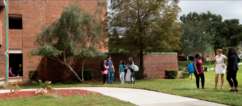 Pasco Hernando State College | 5 Things to Do in Wesley Chapel ...