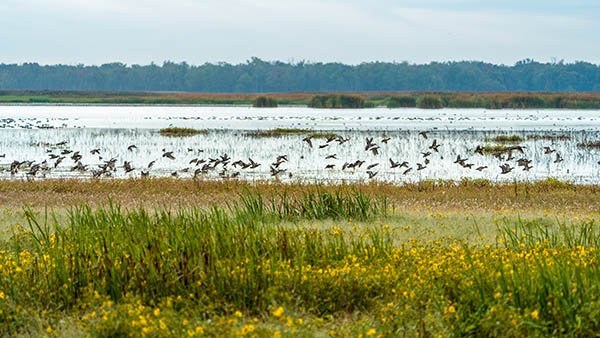 Wildlife refuge