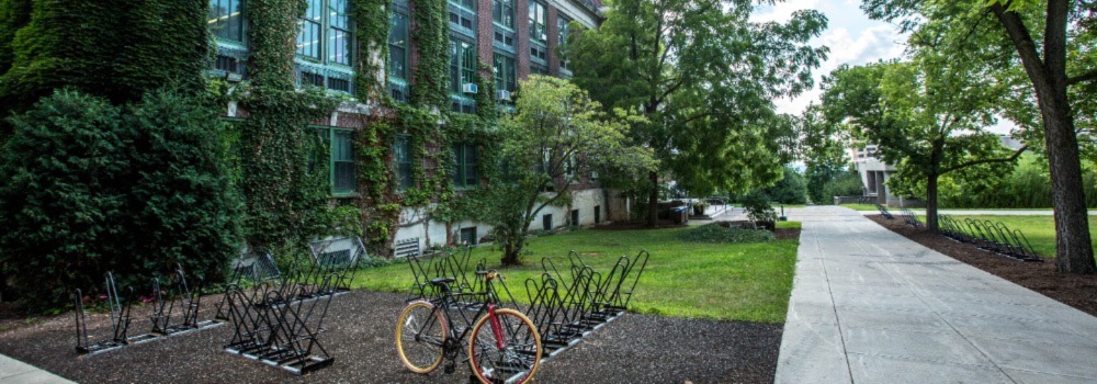 Lush greenery surrounding Syracuse school building.