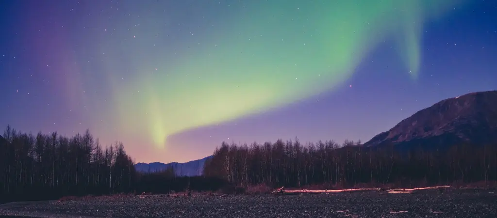 Green Northern Lights over a forest.