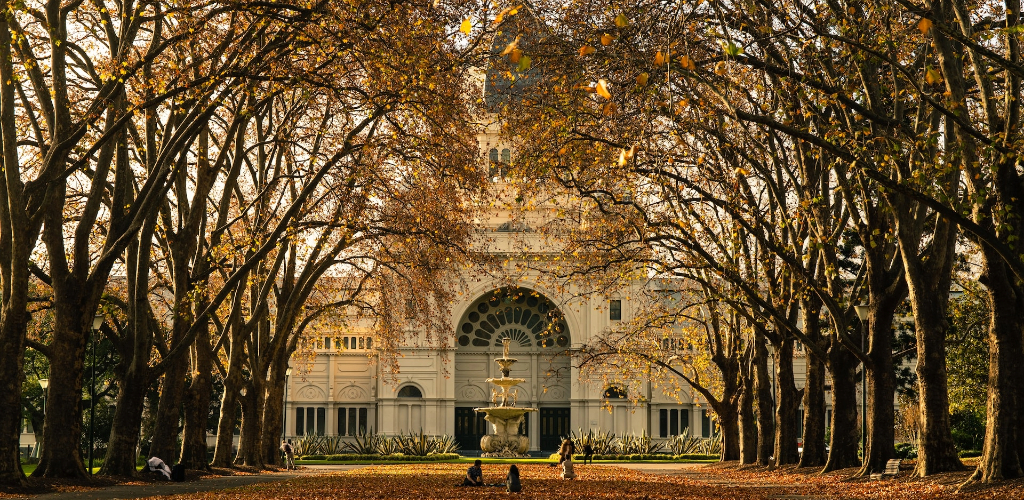 A college building surrounded by trees with orange leaves.