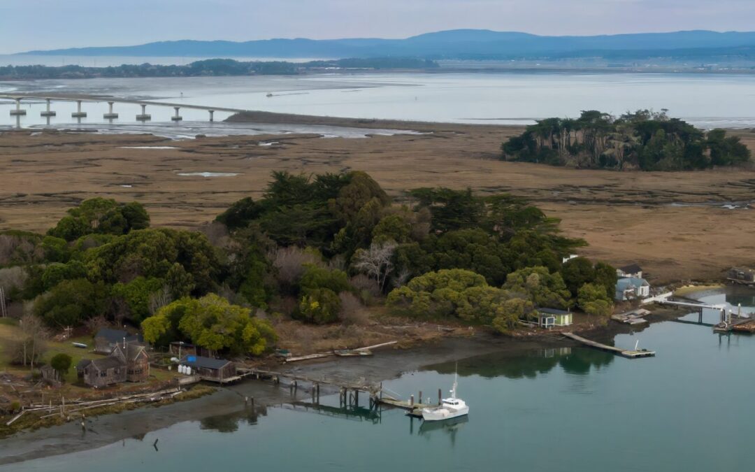 Collegeboxes is the Official Storage Partner for Cal Poly Humboldt